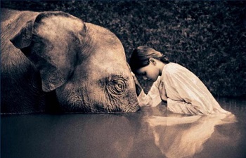 新媒體運營如何達到“人神合一”的最高境界?