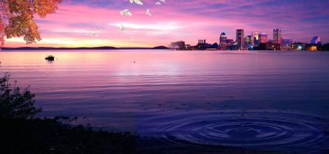 企業品牌網站建設對企業的價值