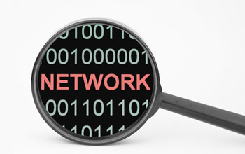 新網域名續費及贖回期限說明